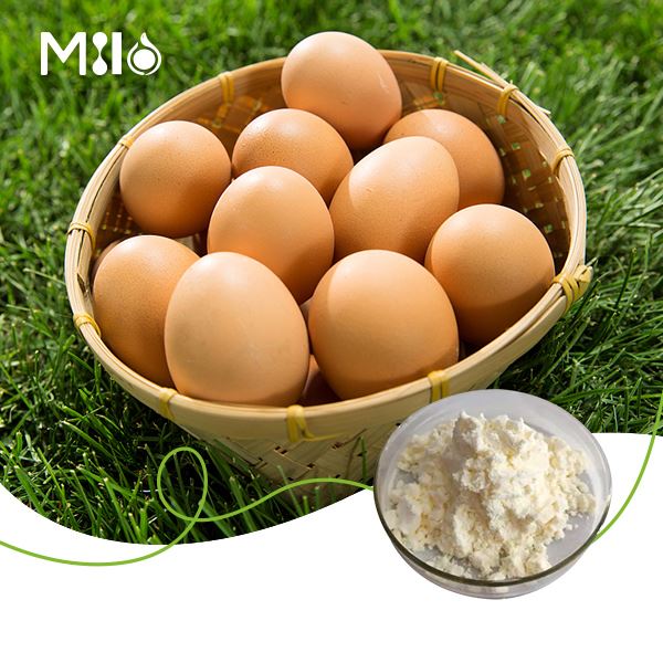 Egg White Albumen Powder