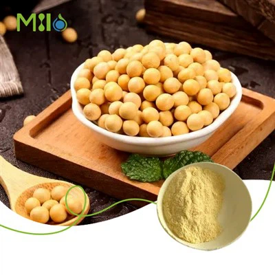Saf Soya Lesitin Tozu